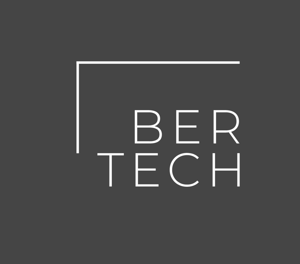BER itsystemhaus